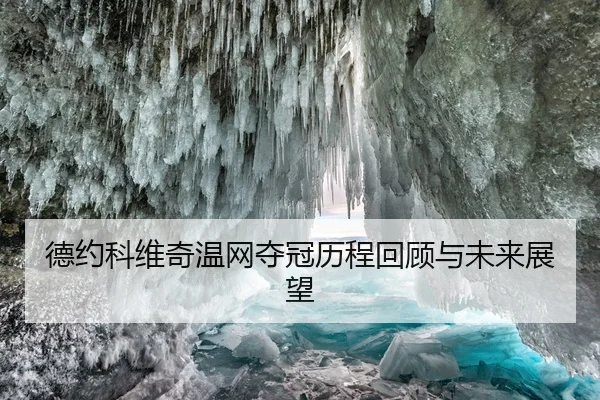 德约科维奇温网夺冠历程回顾与未来展望